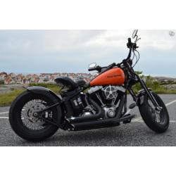 Harley Davidson FLSTSB Crossbones -08