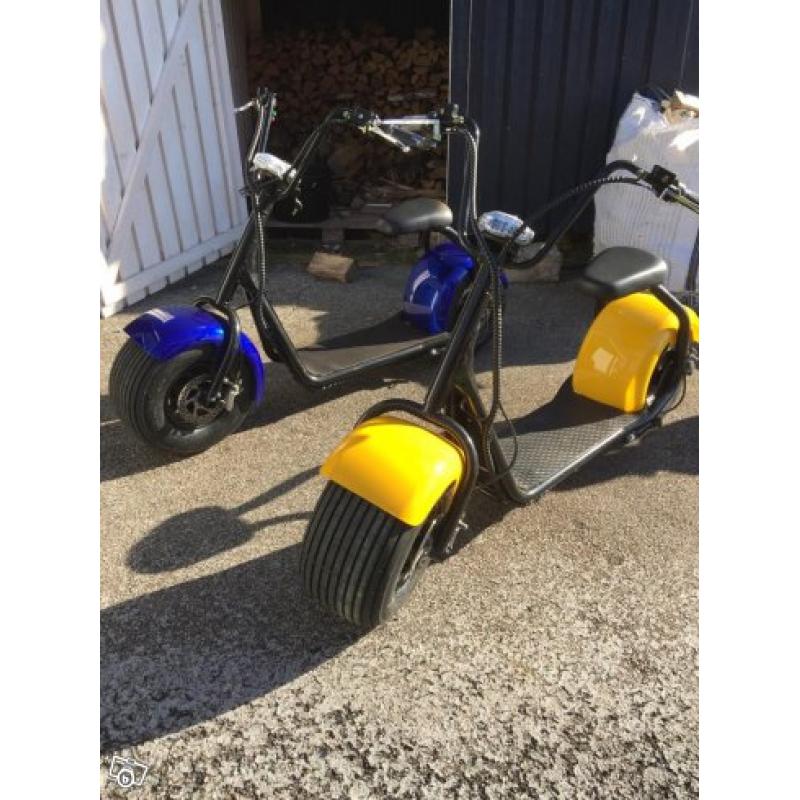 Elscooter Citycoco 1000W